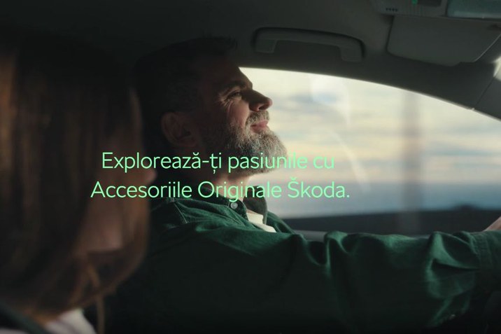 accesorii