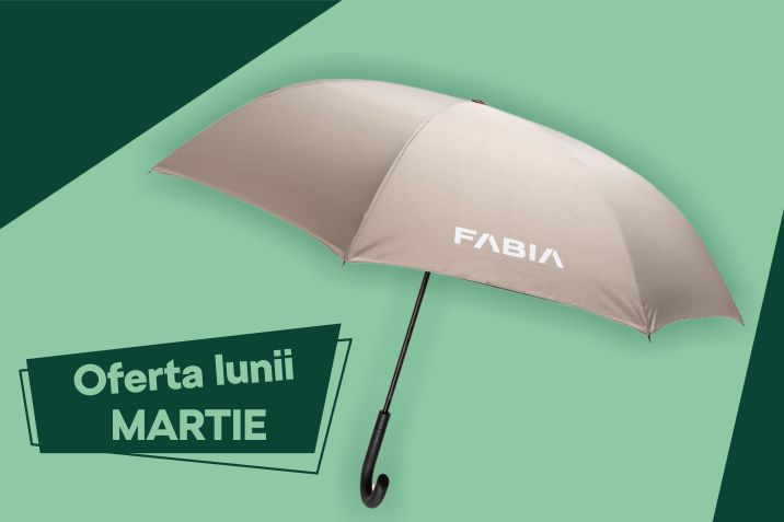 oferta lunii